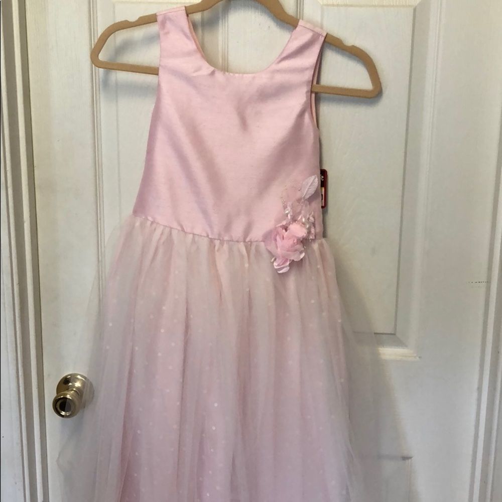 Pink Tulle Skirt Dress